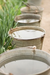 water bucket