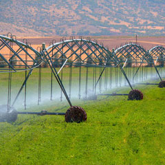 Irrigation