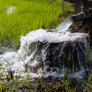 pumping tests